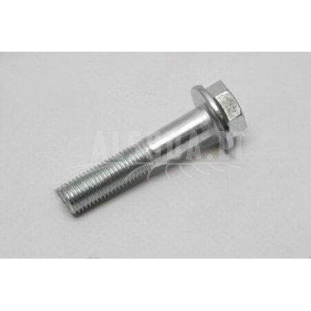 30006-102050810  BOLT M10x1.25x50