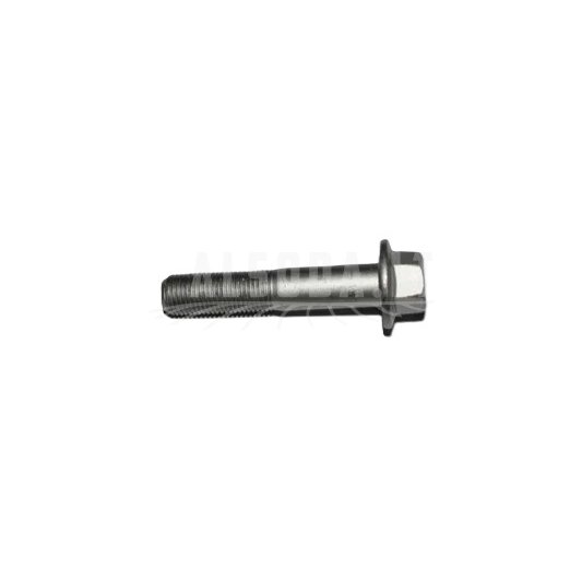 30001-122060160 BOLT M10x1.25x60