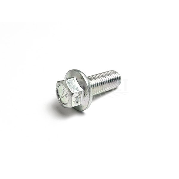 30001-102025810 BOLT M10x1.25x25 30001-102025810 BOLT M10x1.25x25