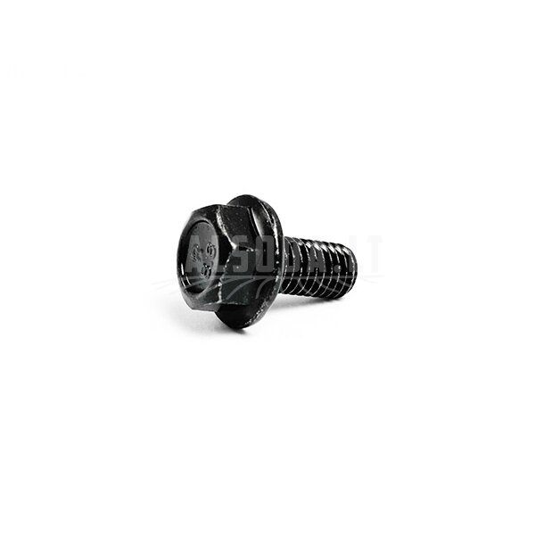 30006-080016870 BOLT
