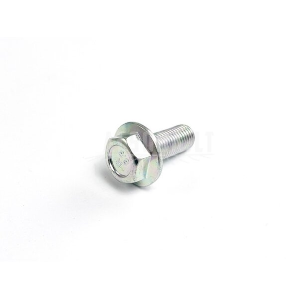 30006-102025810 Bolt