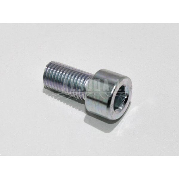 30102-102020810 inner hex screw
