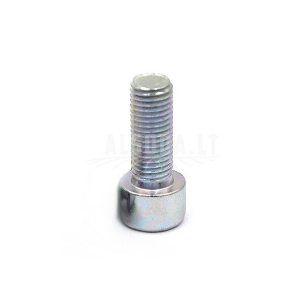 30102-102025810 SCREW M10x1.25