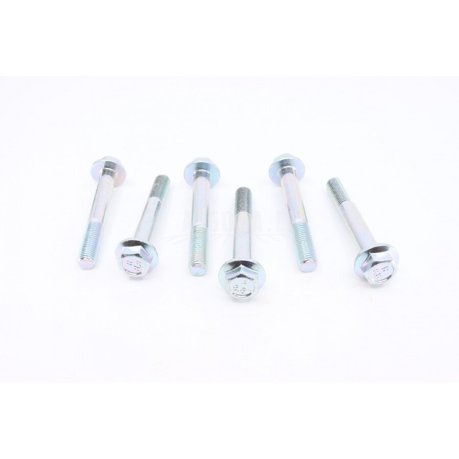 30006-102070810 Bolt 30006-102070810 Bolt