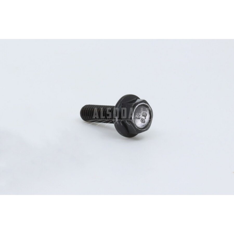 30006-060020870 BOLT M6x20M6x20