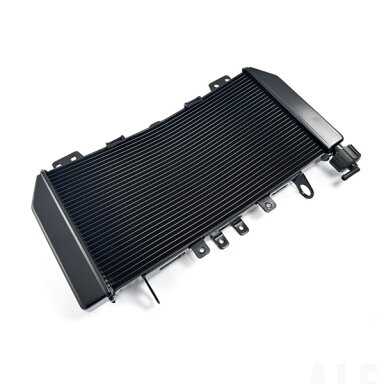 6AQV-181100-6000 RADIATOR ASSY