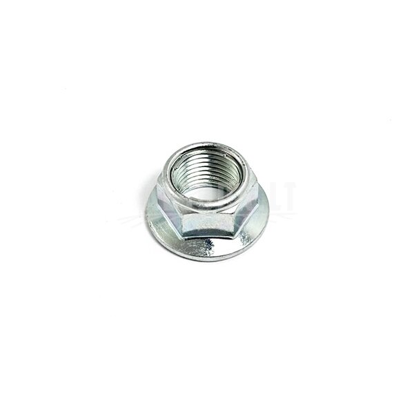 6AQV-060006-1000-M1 NUT