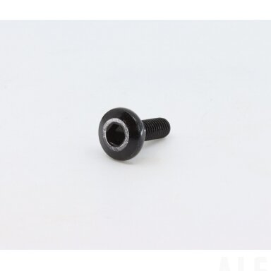 6NQ#-000205-6001 MOUNTING SCREW, CHAIN GUARD