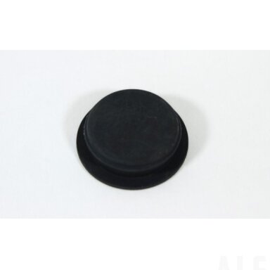 6NT1-060003 DUST CAP, SMALL