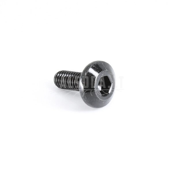 6NQ#-000206-6001 INNER HEX SCREW M6x16 6NQ#-000206-6001 INNER HEX SCREW M6x16