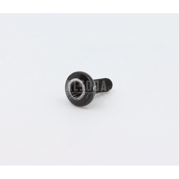 6NQ#-000205-6001 MOUNTING SCREW, CHAIN GUARD 6NQ#-000205-6001 MOUNTING SCREW, CHAIN GUARD