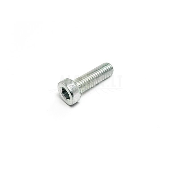 6WWV-050009-5000 SCREW M8x25