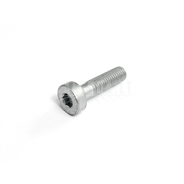 6WWV-050011-5000 INNER HEX SCREW M8x30