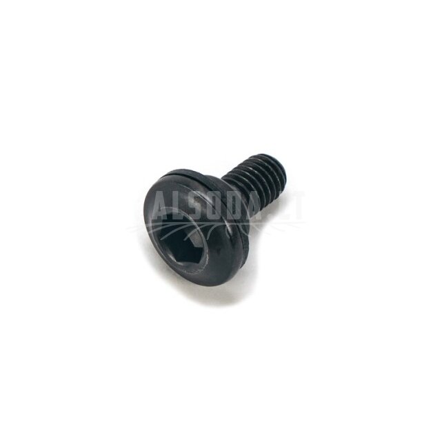 6WWV-046502-5000 STEPPED SCREW M5 6WWV-046502-5000 STEPPED SCREW M5