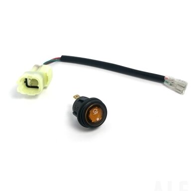 9030-160810 SWITCH ASSY, FOG LIGHT