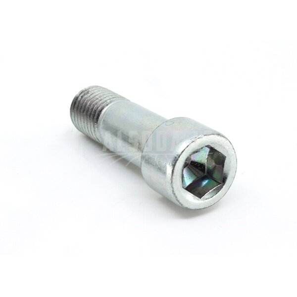 9010-300001 bolt M10x1.25x30