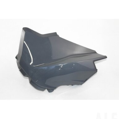 9AWA-041034-0H900 LH COVER, AIR FILTER