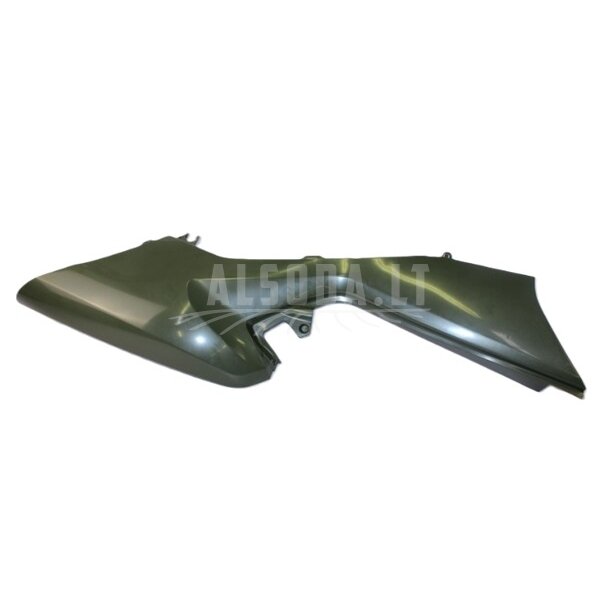 9CQV-042022-3000-0P800 RH SIDE COVER, LONG MODELHUNTER GREEN
