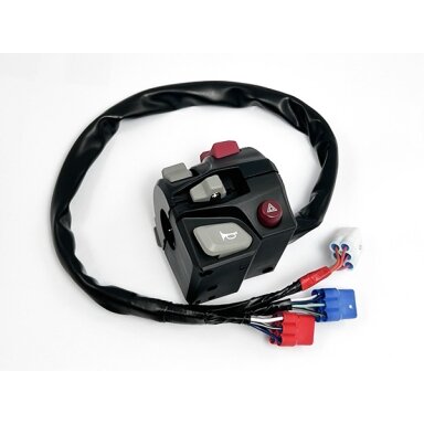 9DQV-166000-4200-10 9DQV-166000-4200 HANDLEBAR SWITCH, LH