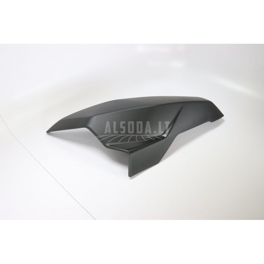 9DS#-041031-6001 FRONT LH SIDE STRIP