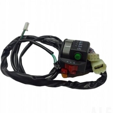 9GQS-160600-00001 HANDLEBAR SWITCHES ASSY., LH