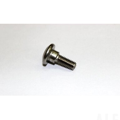 A000-060002 SCREW, CHAIN GUARD