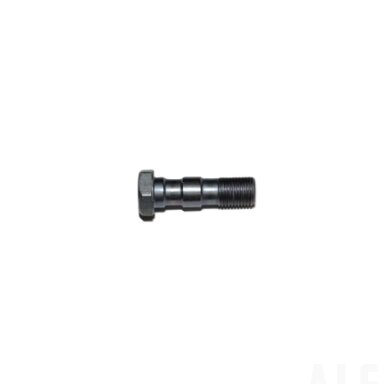 A000-080103-2000 BANJO BOLT 2