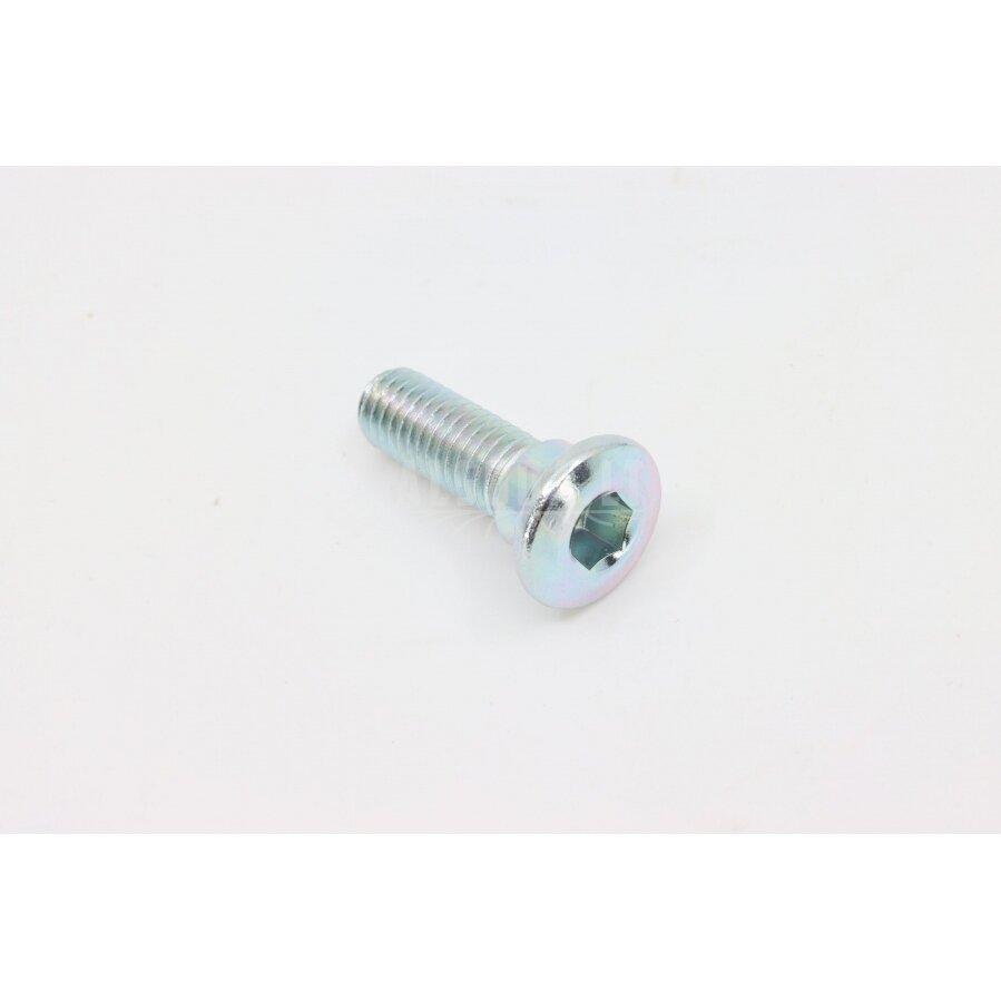 A000-080001 SCREW