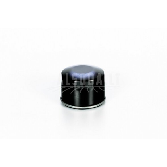 Alyvos filtras CC XT1 LT1 LT2 XZ5, MTD Alyvos filtras CC XT1 LT1 LT2 XZ5, MTD
