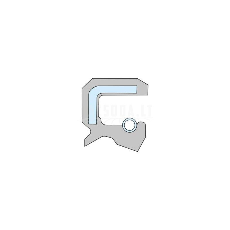 Alyvos sandariklis 100x120x10 mm, tipas: CC Viton, nerūdijantis plienas, DIN 3760, 1x Kramp 2 Alyvos sandariklis 100x120x10 mm, tipas: CC Viton, nerūdijantis plienas, DIN 3760, 1x Kramp 2