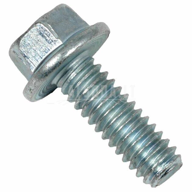 Bolt, MTD