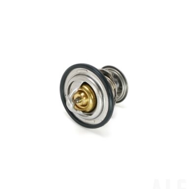 C90035017000 THERMOSTAT 76°C