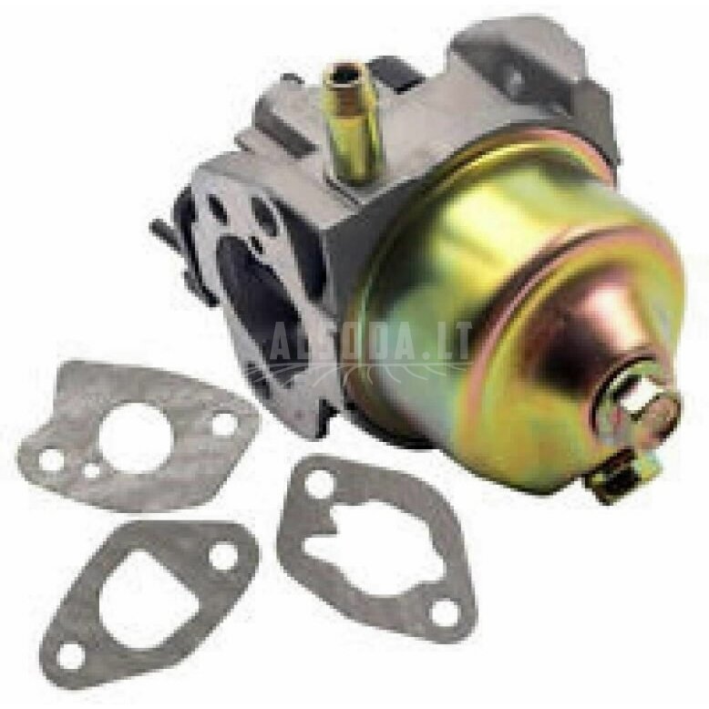 Carburator, MTD Carburator, MTD