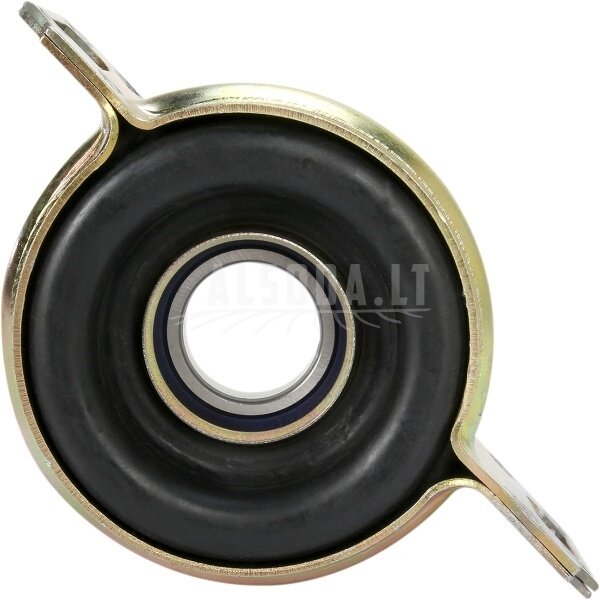 Centrinis guolis 1205-0248 (25-1682)