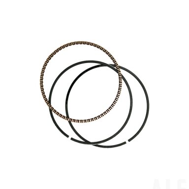 CF-852021-01046 OIL RING KIT