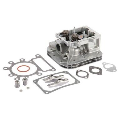 Cilindro galvutė Briggs & Stratton 796183 Cilindro galvutė Briggs & Stratton 796183