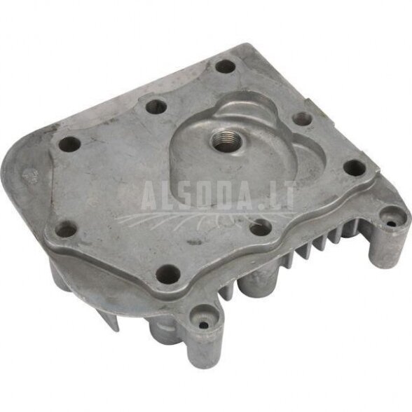 Cilindro galvutė Briggs & Stratton 590411 1 Cilindro galvutė Briggs & Stratton 590411 1