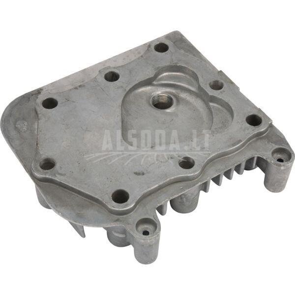 Cilindro galvutė Briggs & Stratton 590411 1 Cilindro galvutė Briggs & Stratton 590411 1