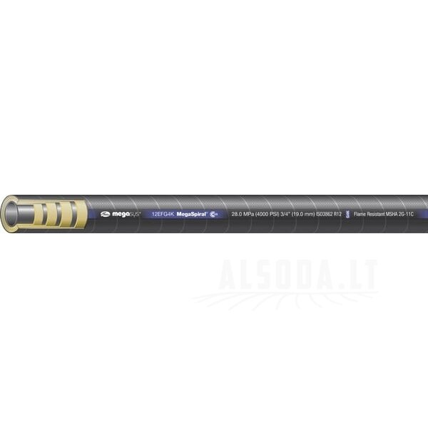 Dengta žarna SAE100R12 5/8"