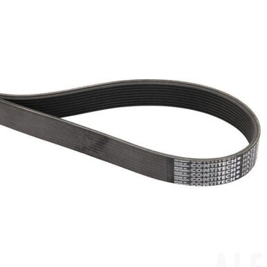 Diržas  Hatz 50203100
