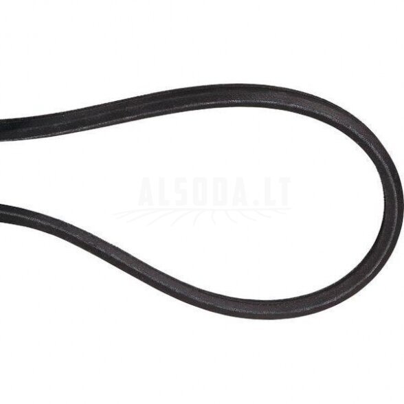 Dvipusis diržas AA125