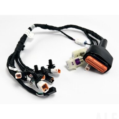 ED2V-150100-1000 MAIN CABLE