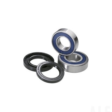 Galinio rato guolis Suzuki LT 250 /300 A25-1299