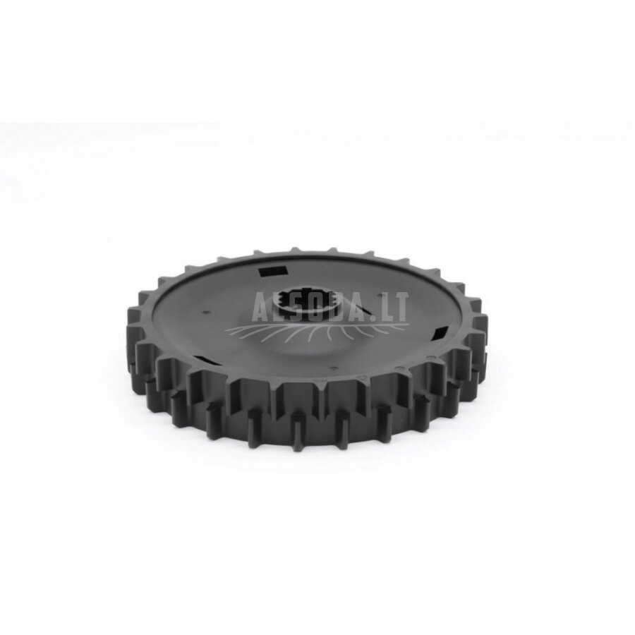 Galinis ratas WR153E, WR155E, Worx