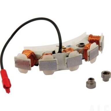 Generatorius Briggs&Stratton 494254