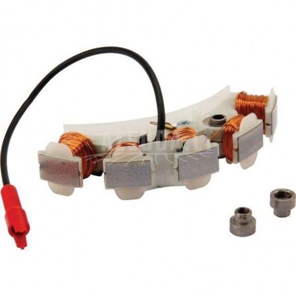 Generatorius Briggs&Stratton 494254