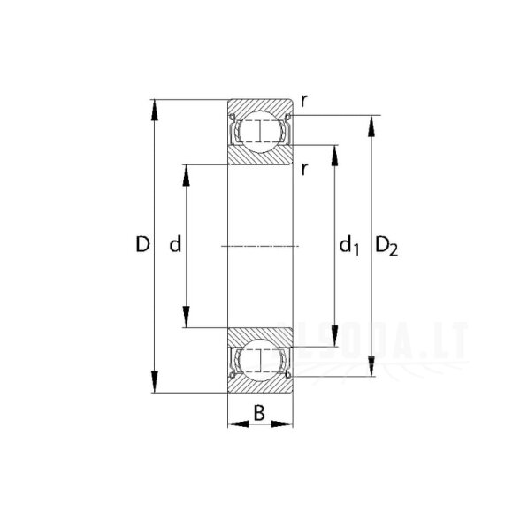 Giliųjų griovelių rutulinis guolis 25x47x8mm SKF 1