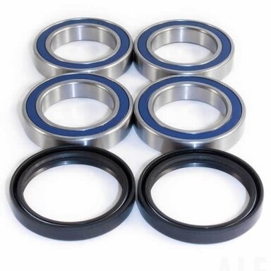 Guoliai rato Can-Am DS 450 WE301432