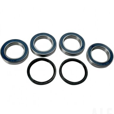 Guolis galinio rato Suzuki SUZUKI LTR-450  0215-0201