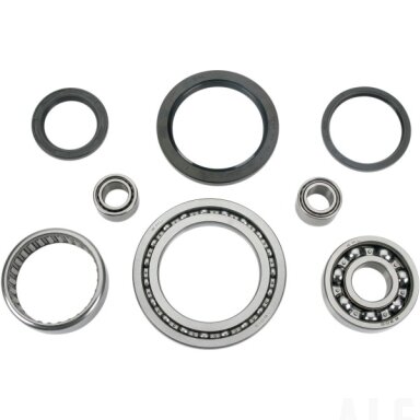 Guolių rinkinys galinio reduktoriaus Yamaha YFM 200-350 A25-2030
